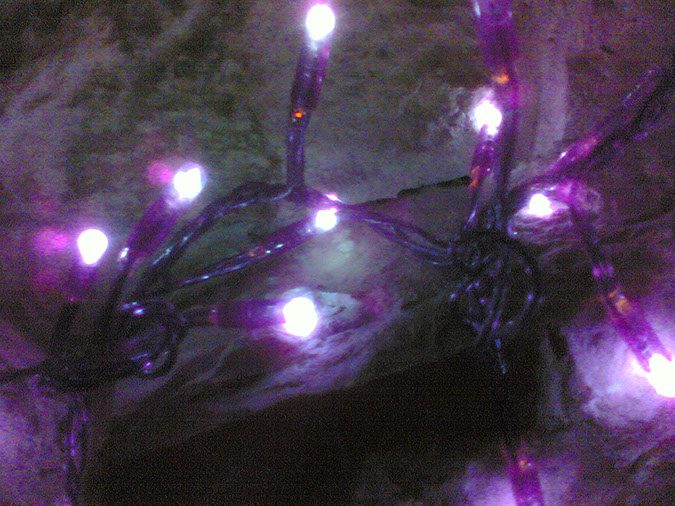 01012006(001)