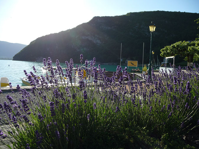 P1000498